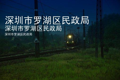 深圳市罗湖区民政局