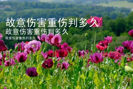 故意伤害重伤判多久