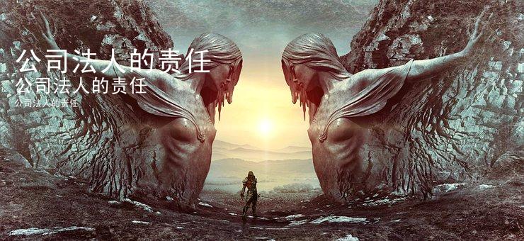 公司法人的责任