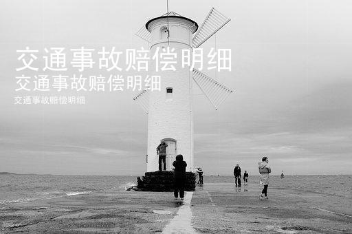 交通事故赔偿明细