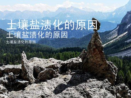 土壤盐渍化的原因