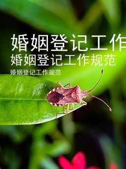 婚姻登记工作规范