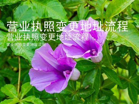 营业执照变更地址流程