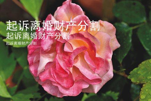 起诉离婚财产分割