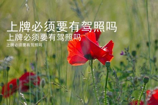 上牌必须要有驾照吗