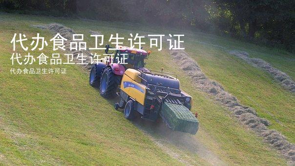 代办食品卫生许可证