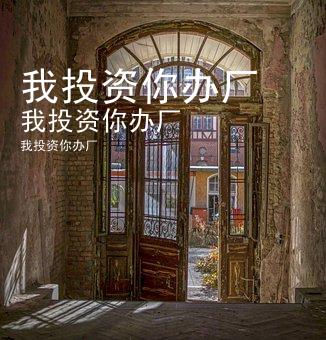我投资你办厂