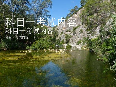 科目一考试内容