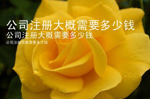 公司注册大概需要多少钱
