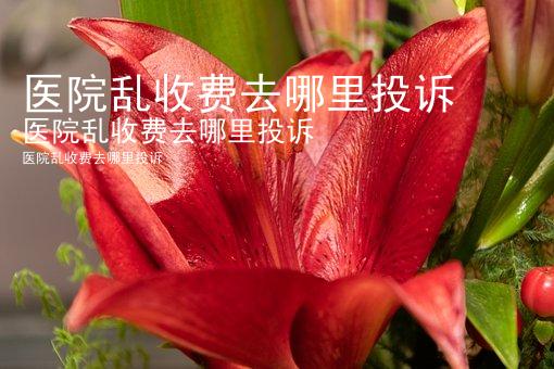 医院乱收费去哪里投诉