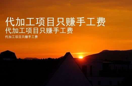 代加工项目只赚手工费