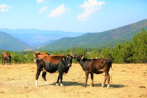 内江住房公积金管理中心