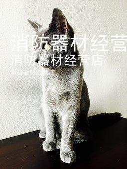 消防器材经营店