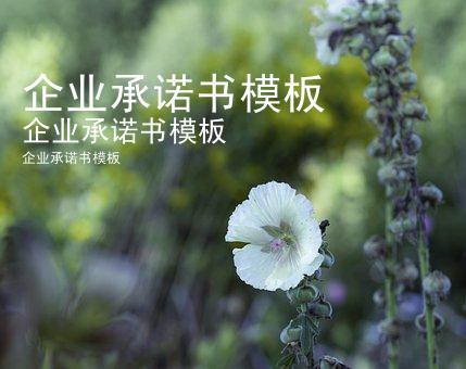 企业承诺书模板