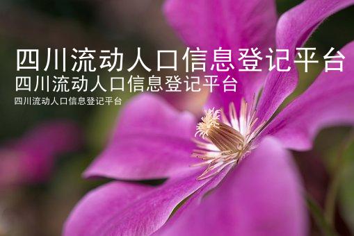 四川流动人口信息登记平台
