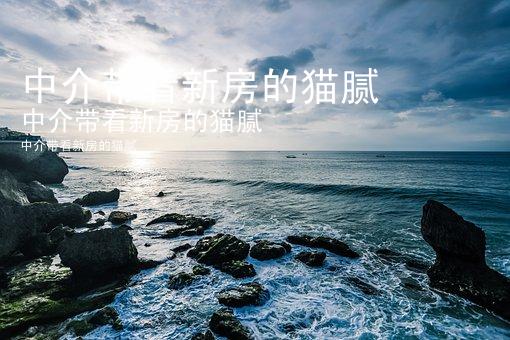 中介带看新房的猫腻