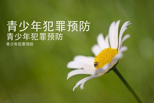 青少年犯罪预防