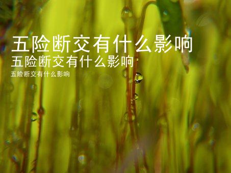五险断交有什么影响