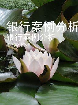 银行案例分析