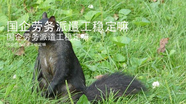 国企劳务派遣工稳定嘛