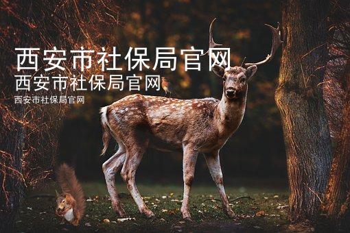 西安市社保局官网