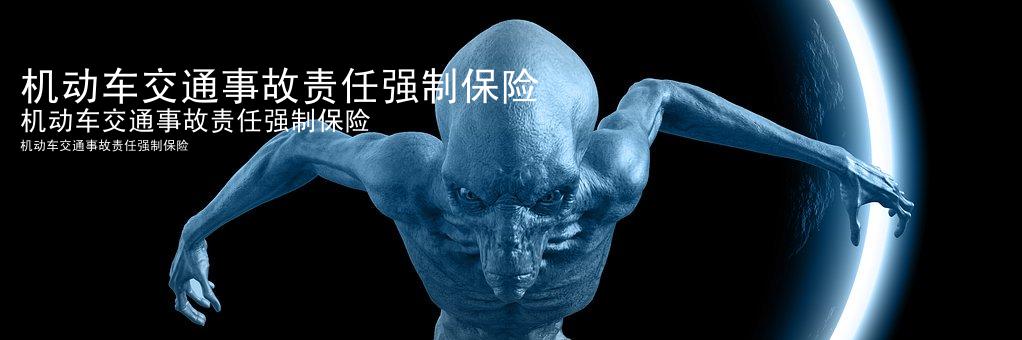 机动车交通事故责任强制保险