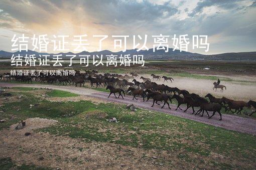 结婚证丢了可以离婚吗