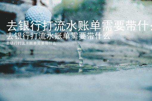 去银行打流水账单需要带什么