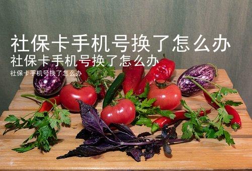 社保卡手机号换了怎么办