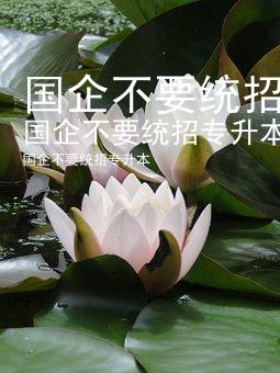 国企不要统招专升本