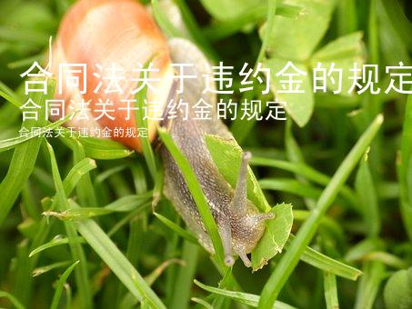 合同法关于违约金的规定