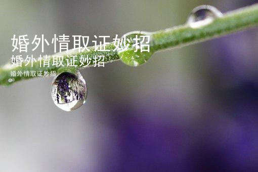 婚外情取证妙招