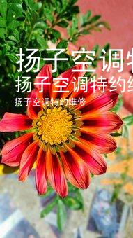 扬子空调特约维修