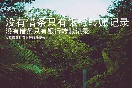 没有借条只有银行转账记录