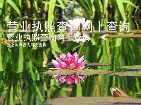 营业执照查询网上查询