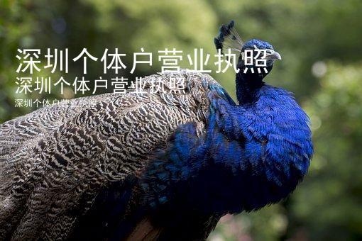 深圳个体户营业执照