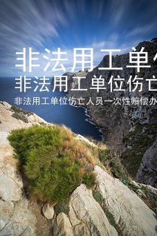 非法用工单位伤亡人员一次性赔偿办法