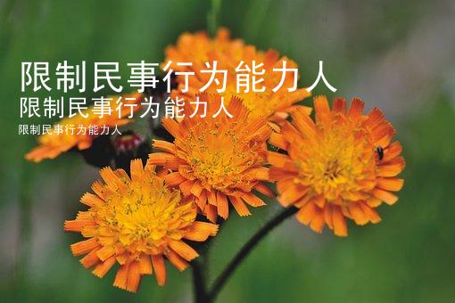 限制民事行为能力人