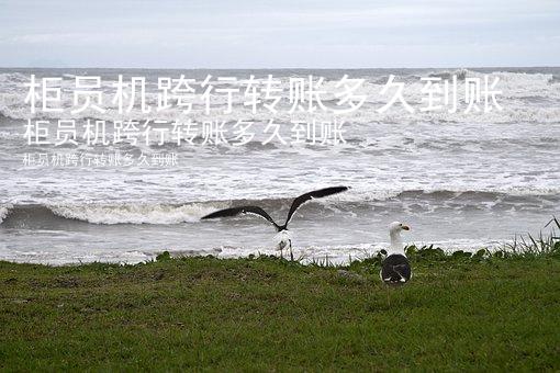 柜员机跨行转账多久到账