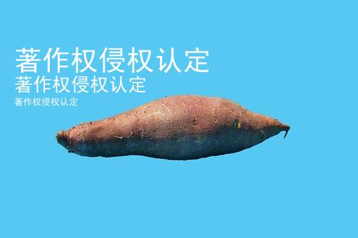 著作权侵权认定