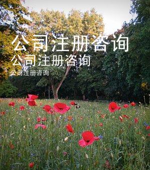 公司注册咨询