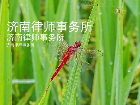 济南律师事务所