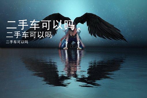 二手车可以吗