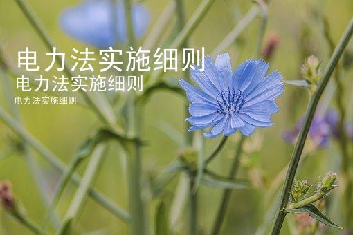 电力法实施细则