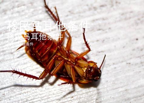 移民马耳他条件