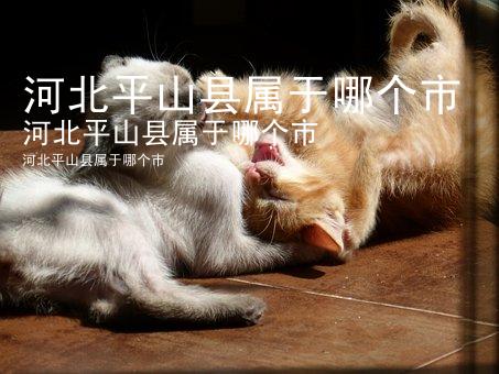 河北平山县属于哪个市