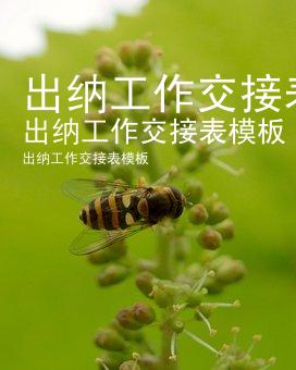 出纳工作交接表模板