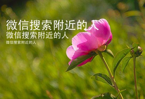 微信搜索附近的人