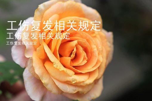 工伤复发相关规定