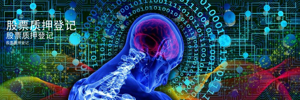 股票质押登记